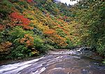 山水风景60