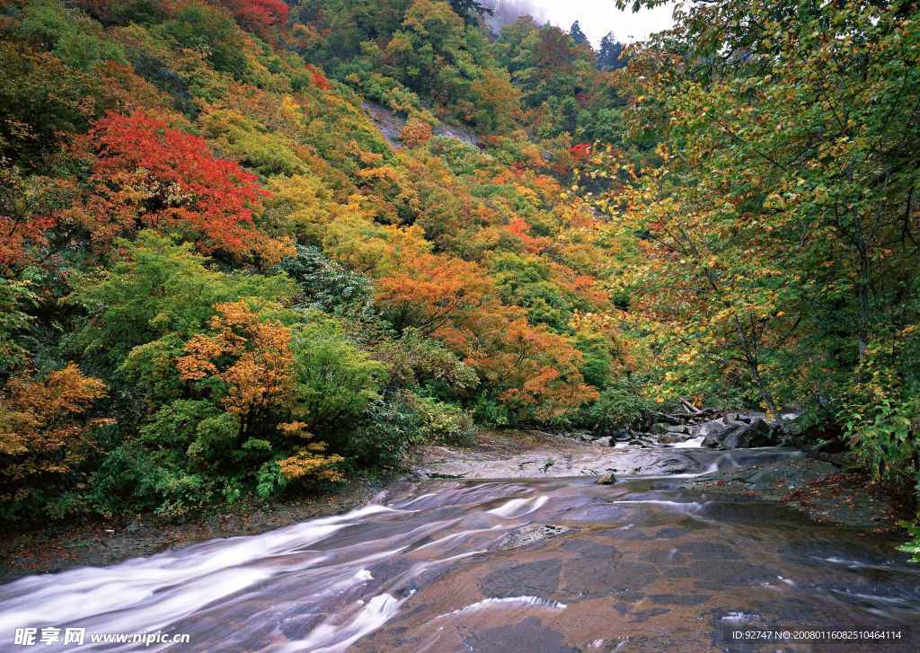 山水风景60