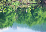 山水风景65