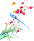 国画51