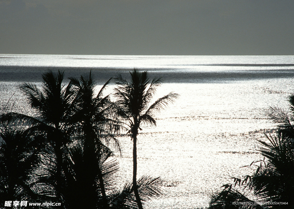 黑白海景