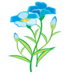 花卉