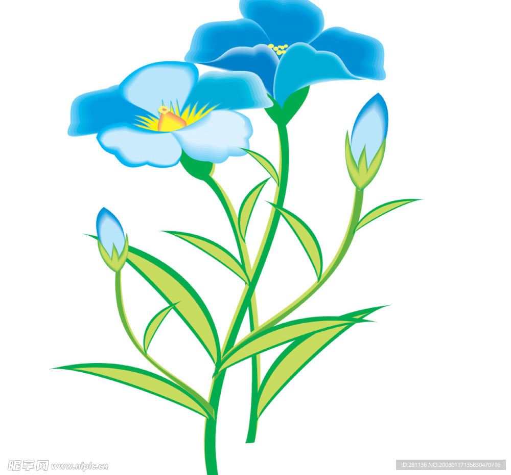花卉