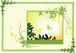 精美边框底纹