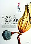 月亮神海报
