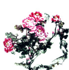 富贵牡丹