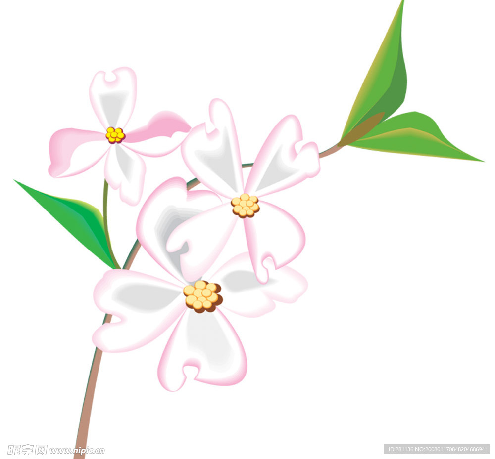 花卉
