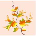 花纹