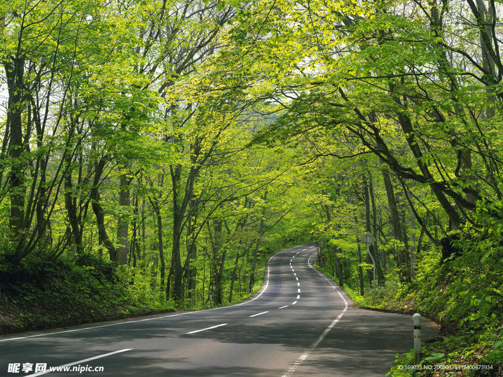 道路