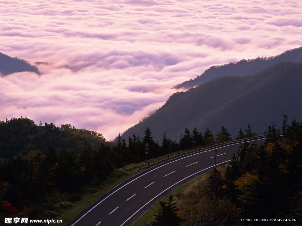 道路