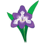 花卉