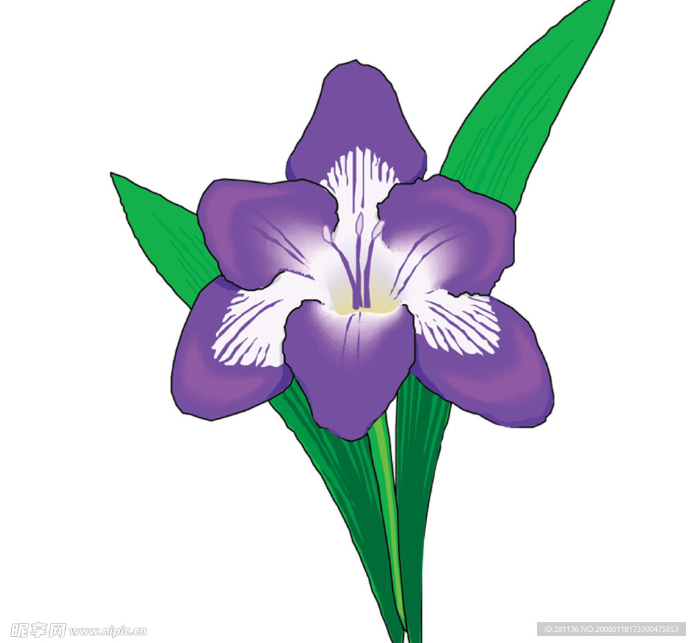 花卉