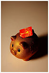 金猪