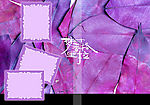梦幻国系列婚纱模板