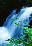 山水风景15