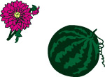 西瓜与花