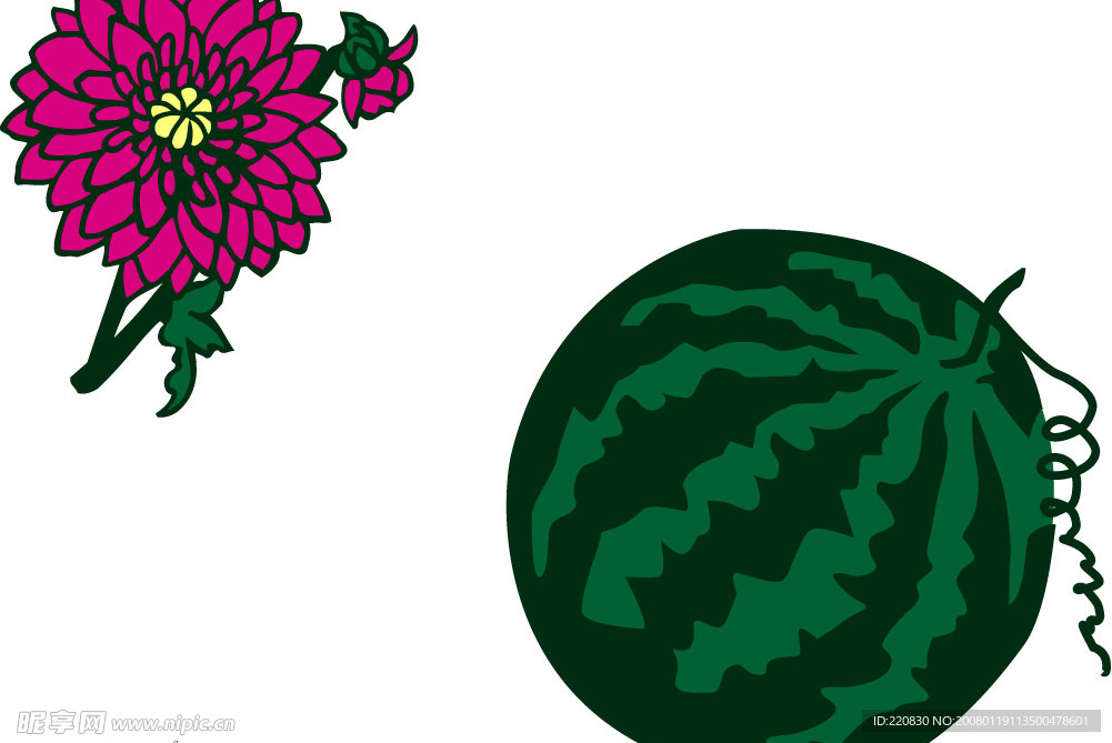 西瓜与花