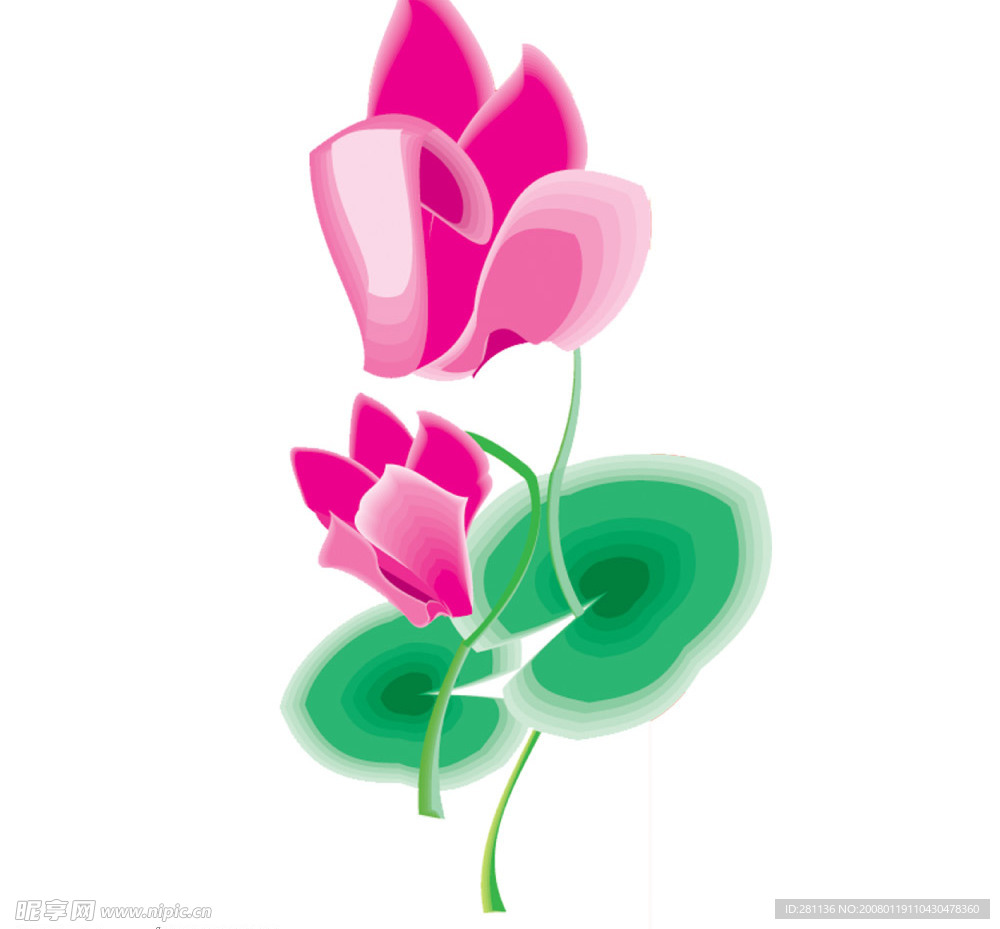 花卉