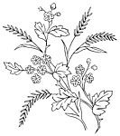 黑白花草花纹图案