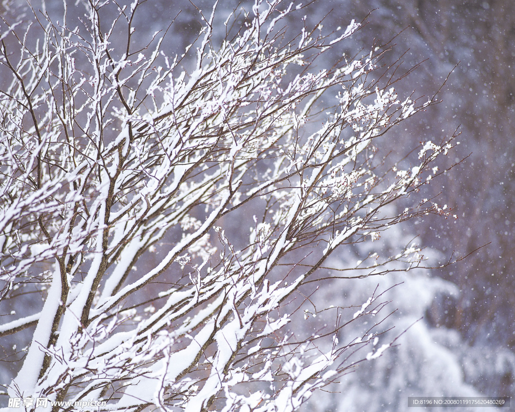冬天雪景