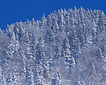 冬天雪景