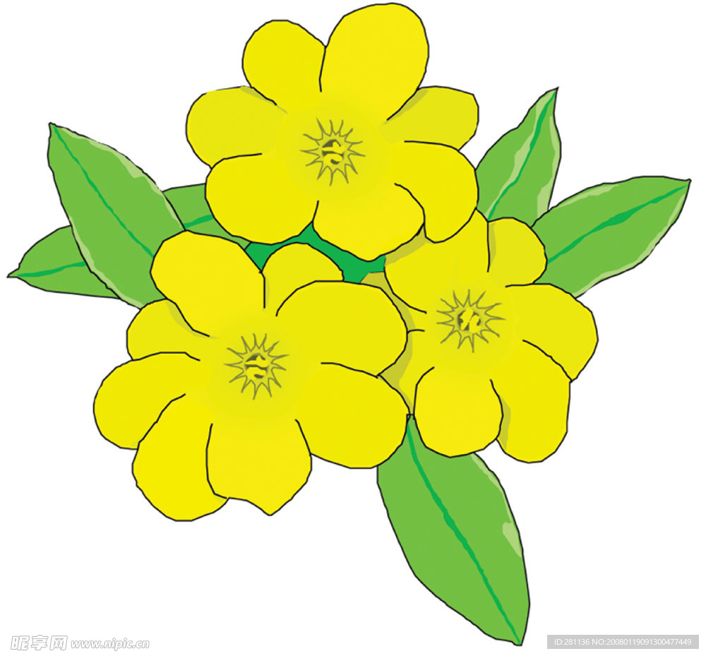 花卉