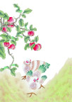 国画96
