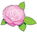 花卉