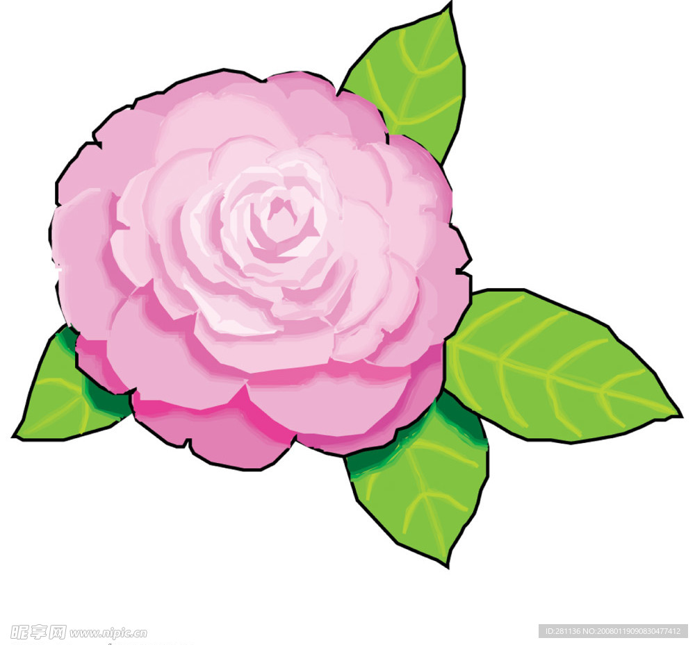 花卉