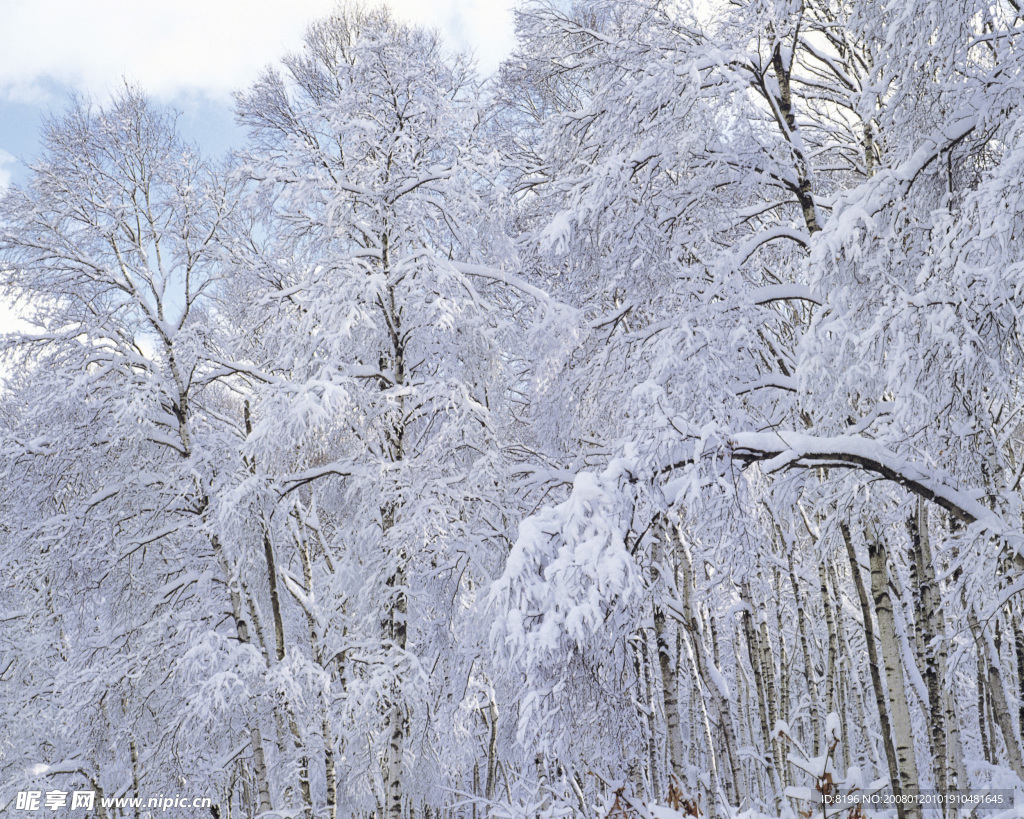 冬天雪景