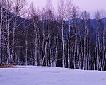 冬天雪景