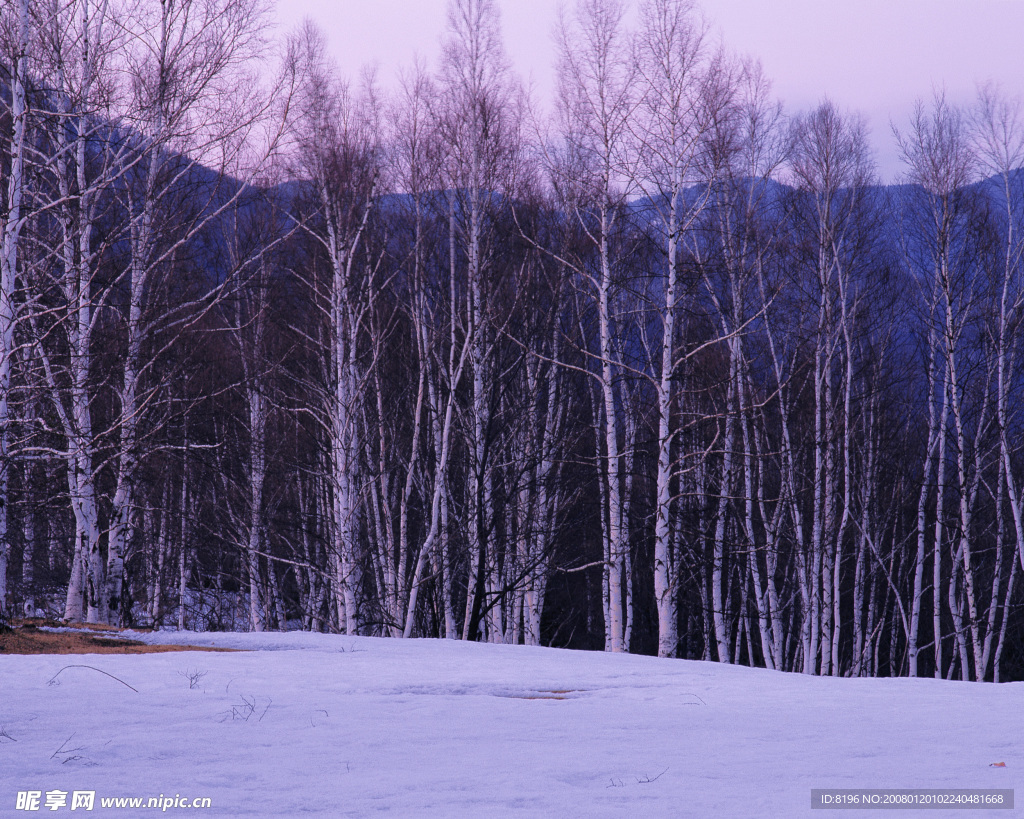 冬天雪景