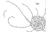 文字游戏-花之恋