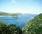 风景