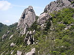 黄 山