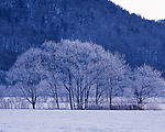 冬天雪景