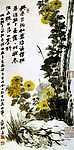 黄菊1