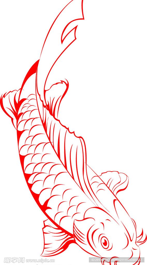 小鱼