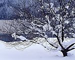 冬天雪景
