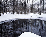 冬天雪景
