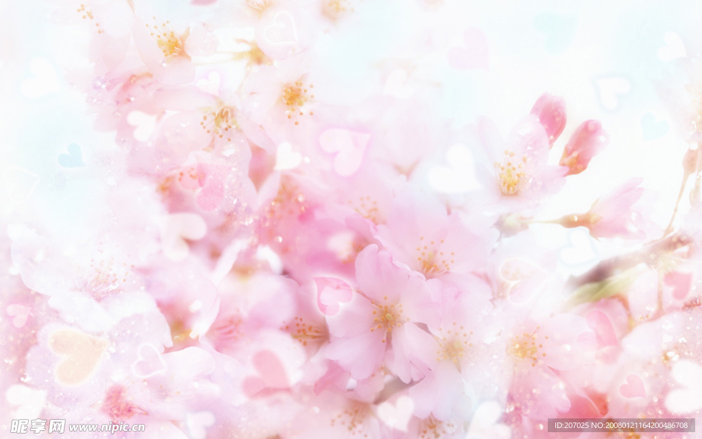 花卉背景