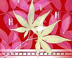 抽象设计