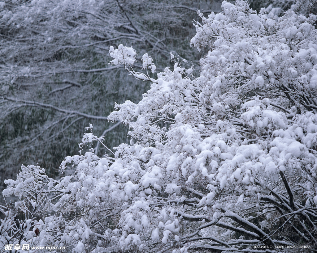 冬天雪景