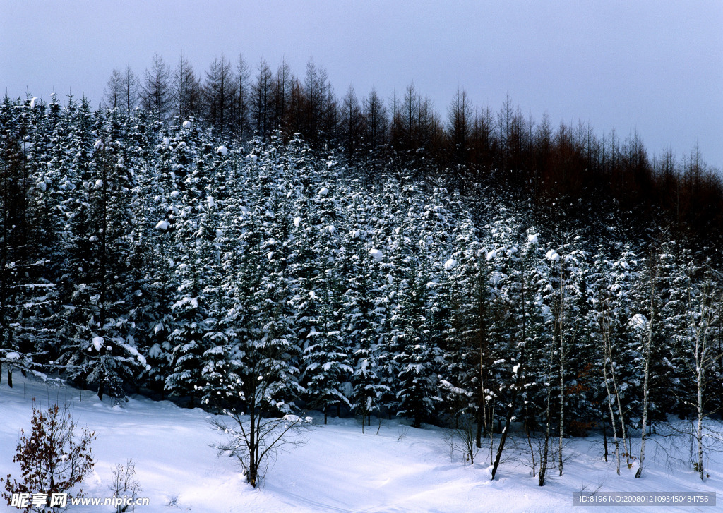 冬天雪景