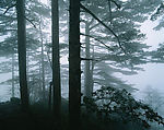 山川素材