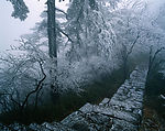 山川素材