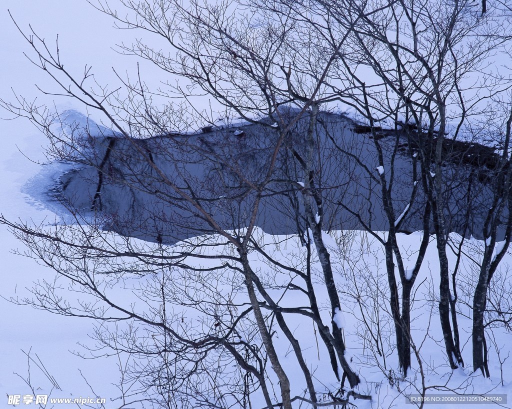 冬天雪景