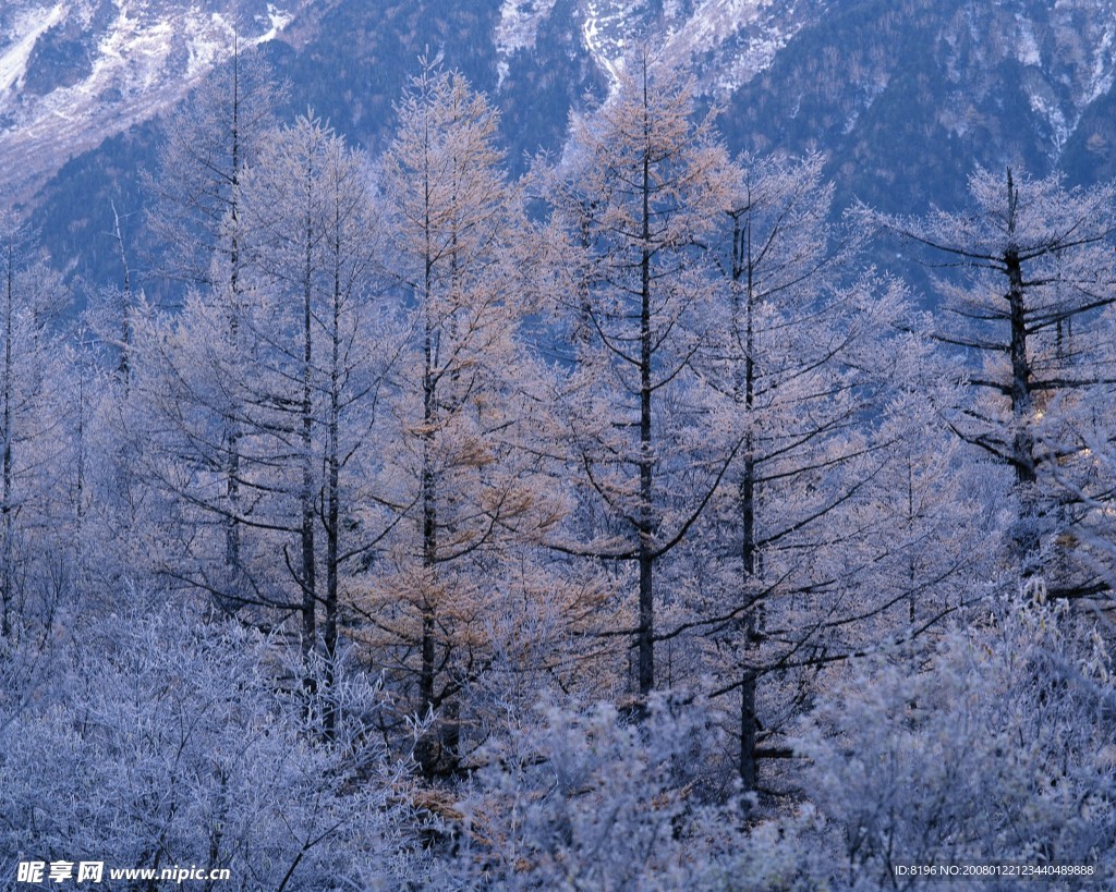 冬天雪景