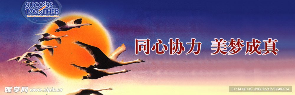 同心协力，美梦成真