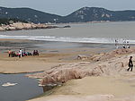 普陀山海滩狮子头